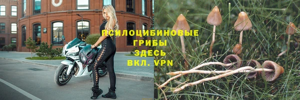 mdpv Киреевск